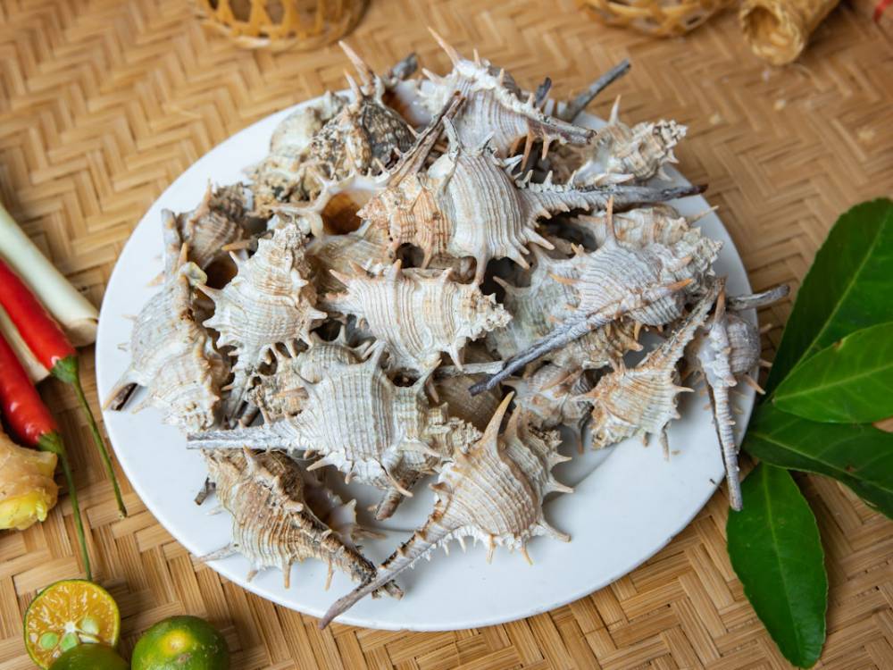 Ốc gai nướng mộc
