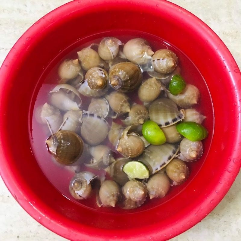 sơ chế ốc tỏi