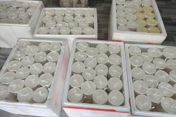 Hình ảnh ốc Thuỳ Dương