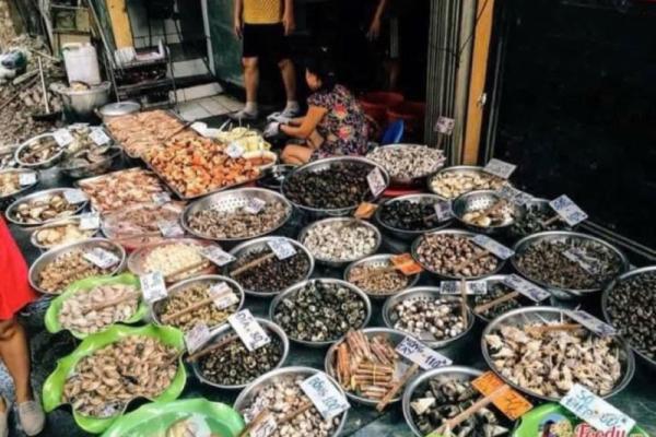 Hình ảnh ốc Thuỳ Dương