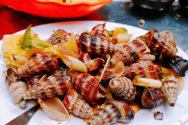 Hình ảnh ốc Thuỳ Dương
