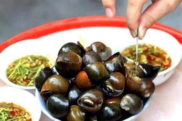 Hình ảnh ốc Thuỳ Dương