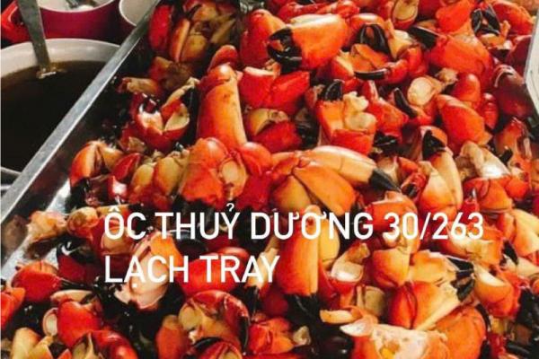 Hình ảnh ốc Thuỳ Dương