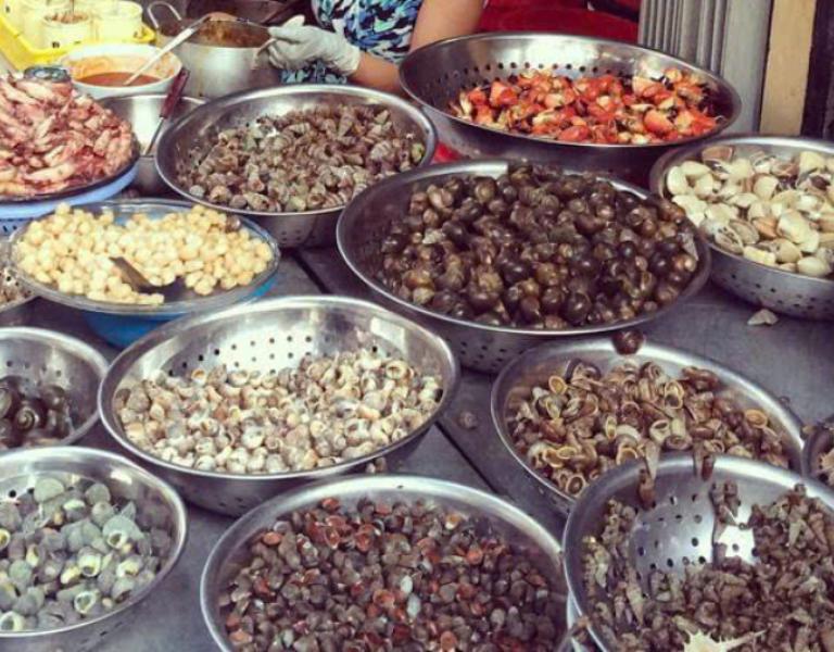 Hình ảnh ốc Thuỳ Dương