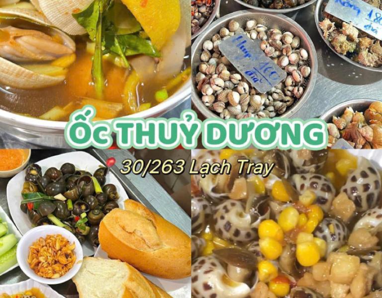 Hình ảnh ốc Thuỳ Dương