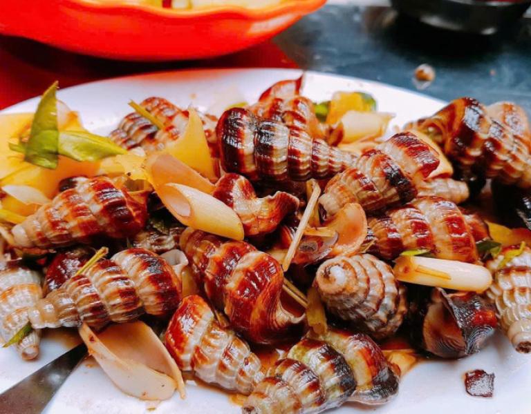Hình ảnh ốc Thuỳ Dương