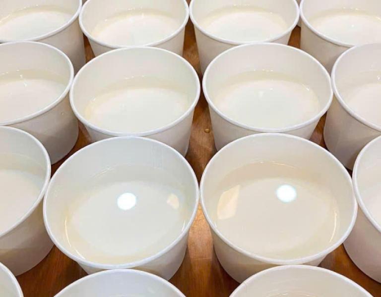 Hình ảnh ốc Thuỳ Dương
