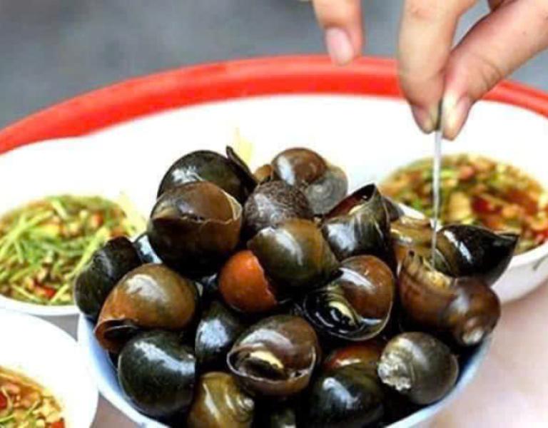 Hình ảnh ốc Thuỳ Dương