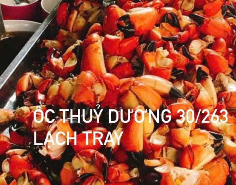 Hình ảnh ốc Thuỳ Dương