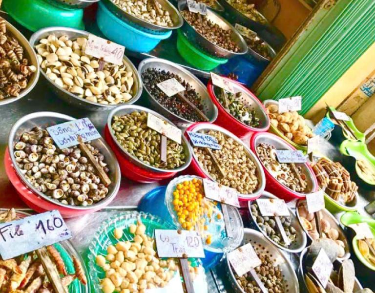 Hình ảnh ốc Thuỳ Dương