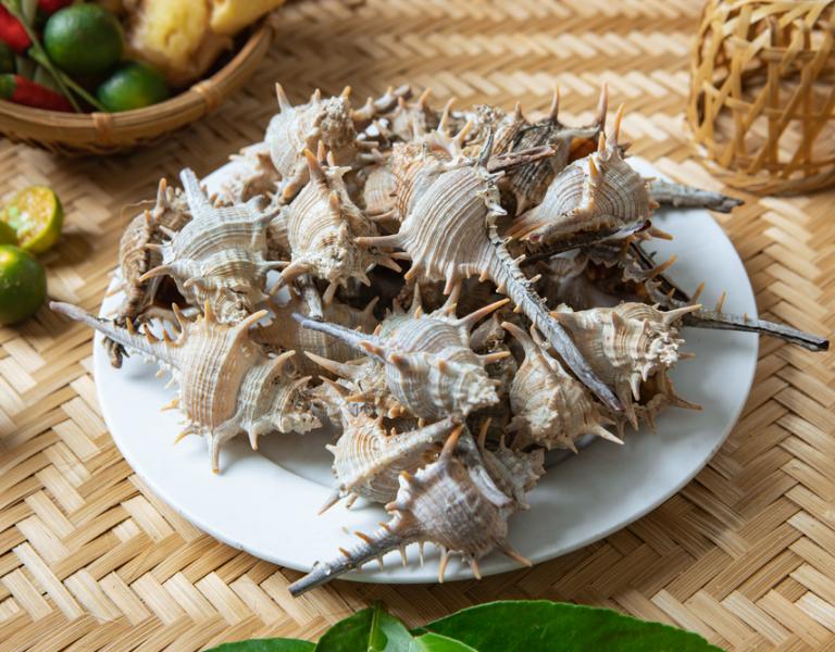 Ốc Thuỷ Dương